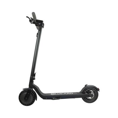 China Electric Scooter Shop Australia Market Shopping Motorized Scooter Motorized Scooter With 250w Mobility for sale