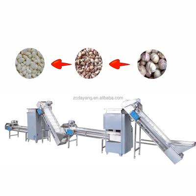 China Dy food processing machine cheap hot sale and best price garlic peeling machine/garlic peeler making machine peeling garlic for sale