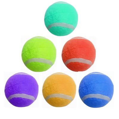 China High Quality Eco - Friendly Colorful Pet Beach Tennis Ball for sale