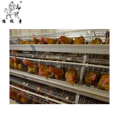 China Breeding Equipment Fully Automatic MU TONG Small Stepped Breeder Cages Can Be Customized for sale