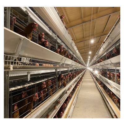 China Chicken Farm MU TONG Good Quality Three Storey 5 Door H-Shaped Chicken House for sale