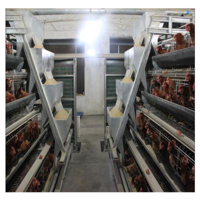 China Farming Fully Automatic MU TONG Stepped Battery Brood Cages To Breed Equipment Can Be Customized for sale