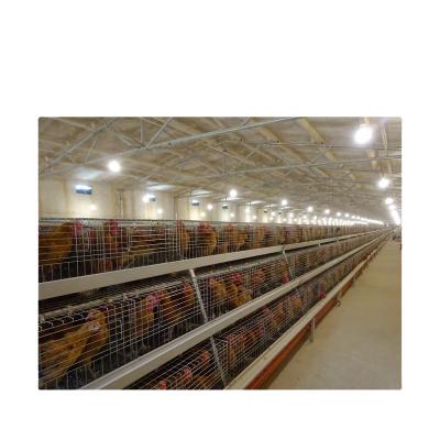 China Hot-selling Battery Chicken Farm Fully Automatic Chicken Cage / A Type Chicken Laying Cage for sale