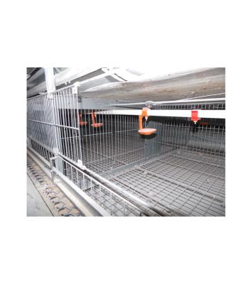 China New Chicken Farm Equipment Pigeon Breeding Cage , Quail Cage Brood Cage Small for sale