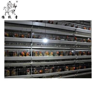 China Chicken Farm Chicken Cage Feeding System High Quality Custom Chicken Poultry Farm Equipment Breeding Equipment for sale