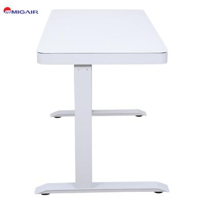 China Adjustable (Height) Customized Telescopic Height Computer Electric Table Height Adjustable Home Office Desk Escritorio for sale