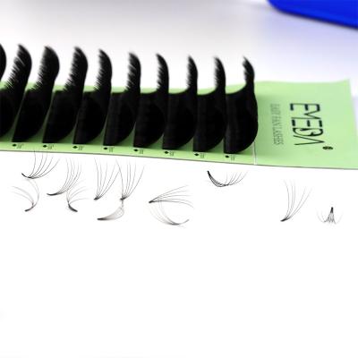 China Synthetic Hair Free Sample Easy To Make Volume Fan Fast Growing Eyelash Extension Easy Fan for sale