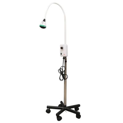 China Arealight Dental ENT Medical Examination Dermatology Metal 9W LED Surgery Lamp Light Dental Equipment for sale