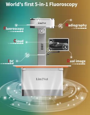 Chine Équipement médical vétérinaire 32 kW Machine de fluoroscopie en temps réel DR à vendre