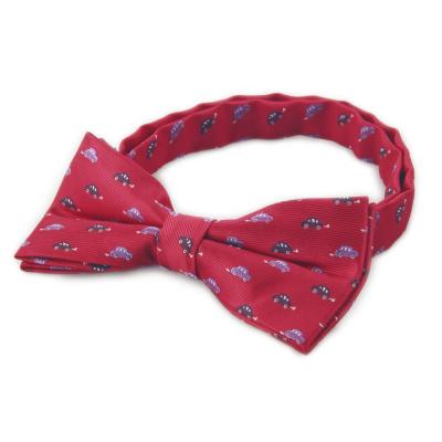 China Eco-friendly Man Customized Fashion Polyester Bowtie Self Tie Bow Ties for sale