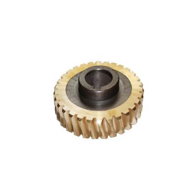 China Automaker Precision Custom Brass Worm Gear Worm Gear for sale