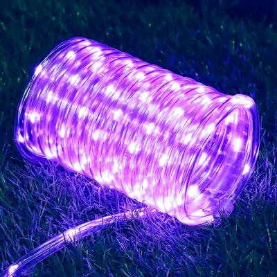 China Waterproof Dmx Led Rope Light RGB LED Mini Copper Led Rope Light Garden Outdoor Decoration for sale