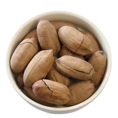 China Wholesale Cheap Price Organic Delicious Snacks Sanck Roasted Pecan For Sale for sale