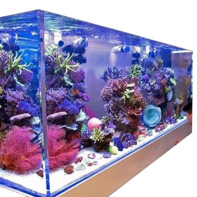 China Sustainable PG Luxury Style Non Yellowing Clear Acrylic Aquarium Fish Tank for sale