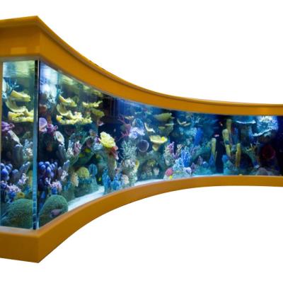 China PG Viable Clear Cast Acrylic Wall Mount Aquarium Fish Tank for sale