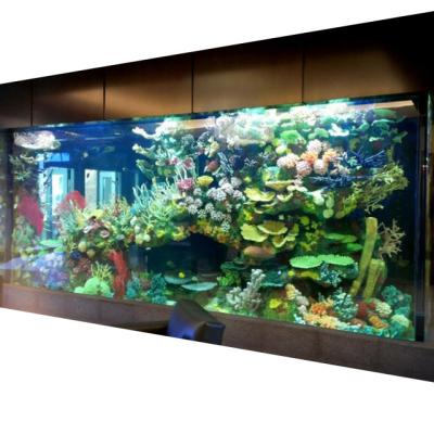 China PG Viable Transparent Sheets Custom Jebo Acrylic Fish Tank for sale