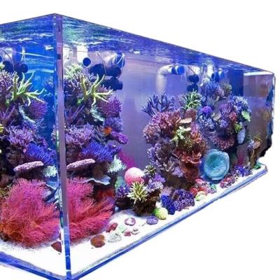 China Viable Style Modern Aquarium Acrylic PAGE Fish Tank For Sale for sale