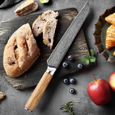 China Durable 8Inch Damascus Serrated Bread Knife Kitchen Knife With Olive Solid Wood Handle 73Layer High Quality Cake Knife Cooking Tools for sale