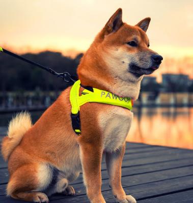 China 2021 Viable Thoughtful Popular Dog Harness for sale