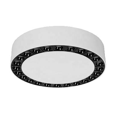 China Modern Indoor Spot Lighting 30W Circle Ring Light Led Combination Lamp Ceiling Down Lighting for sale