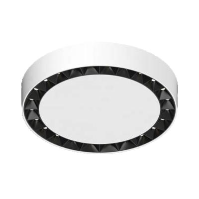 China Modern 24W Led Circle Ring Light Led Combination Lamp Ceiling Down Lighting for sale