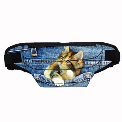 China Anti-Theft Cute cat multiple compartments high quality fanny pack customize Outdoor sports waist fashion waterproof bags for sale