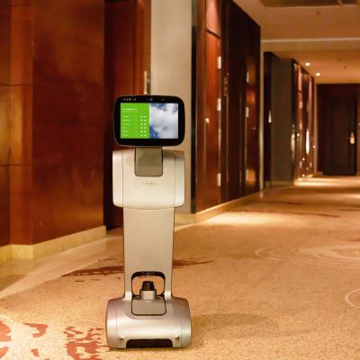 China Smart Wifi Humanoid Commercial Service Food Delivery Temi Robot Server Used In Hotel Restaurant Robot for sale