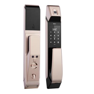 China Smart Intelligent Smart Lock Door Door Locks Of Apartments With Fingerprint for sale