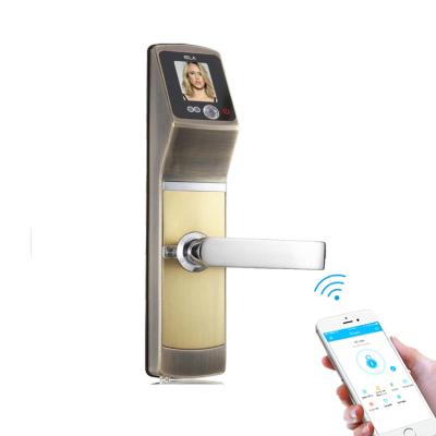 China Apartments High Security Wifi Face Recognition Electronic Smart Door Lock for sale