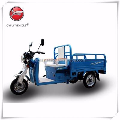 China Dongguna Factory Supply Powerful 3 Wheels 1000W 3 Wheels Electric Cargo Tricycle Vehicle With USB MP3 Player for sale