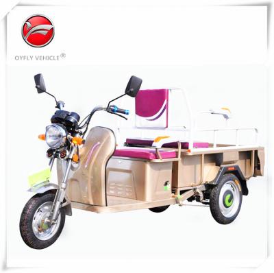 China High Quality Electric Cargo Tricycle Scooter Brushless Electric Three Wheels for sale