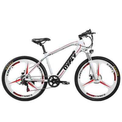 China Aluminum alloy tire mountain bike electric bike big power electric bicycle for sale