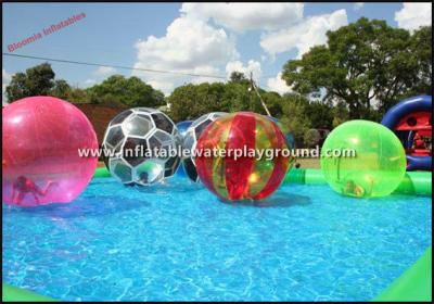 China Paseo multicolor en la bola humana inflable del hámster del agua para el parque del agua en venta