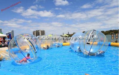 China Juguete clasificado vida de la piscina de la bola del hámster de la bola del agua que camina inflable grande para el parque del agua en venta