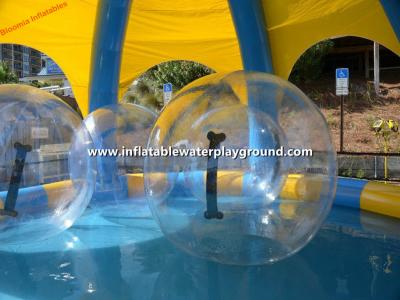 China 2m TPU Inflatable Roller Ball , Inflatable Water Rolling Ball For Pool Game for sale