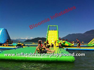 China Parque flotante inflable del agua del lago adults, juegos de diversión de la aguamarina con el certificado del CE en venta