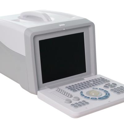 Chine 2D machine durable d'Echo Portable USG pour le physiothérapeute Convex Linear Probe à vendre