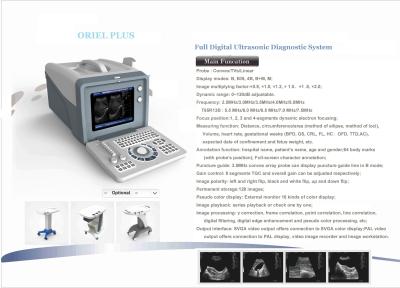 中国 動物の牛獣医の超音波機械6.5MHz R13キャビティ調査 販売のため