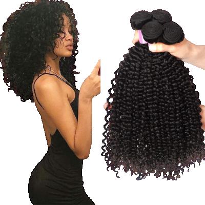 China Silky Straight Natural Curly Curly Human Hair Bundles Unprocessed Brazilian Raw Wave Hair Bundles Human Hair Extension Bundles for sale