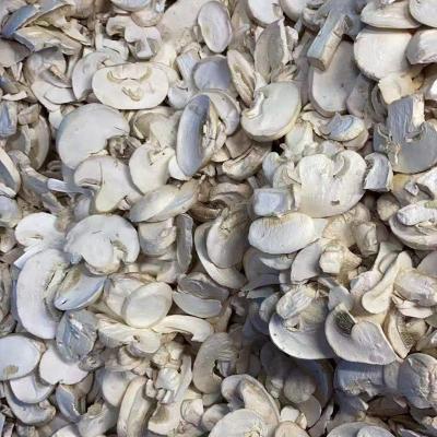 China Agaricus bisporus vegetable freeze-dried FROZEN for sale