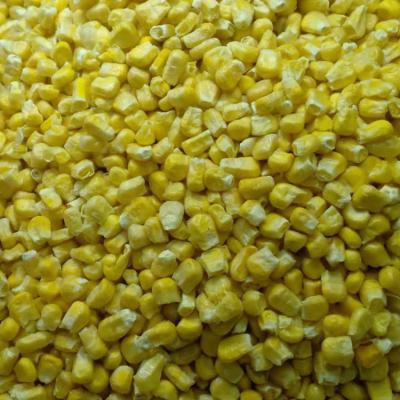 China Dry Freeze Dried Corn Kernels Freeze Dried Fruit Corn Kernels FD Corn for sale