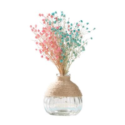 China Eco-friendly Nordic Glass Transparent Rope Decoration Table Vases Flower Dry Flower Vase Crystal Vase Water Hydroponics Flower DIY for sale