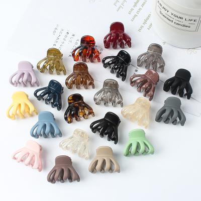 China HAIR BEAUTY Small Trendy Hair Clips Jelly Frosted  Hair Claws Clips for sale