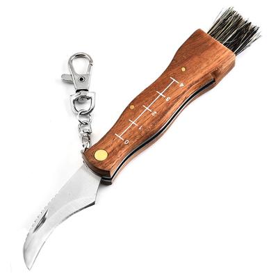 China Hot Selling Sharpness Stainless Steel Blade Wood Handle Outdoor Mushroom Folding Knife With Brush for sale