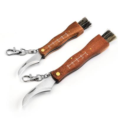 China 6.7 Inch Non-variable Popular Wood Handle Mushroom Sharp Camping Knife Eco-friendly With Brush for sale