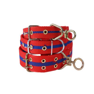 China Custom Factory Made Eco-Friendly Personalized Dog Collar Trims Various for sale