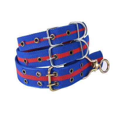 China Latest Design Personalized Top Quality Customized Dog Collar Chain Nylon for sale