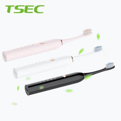 China Good Quality Fairywill Sonic The Travel Mini Full Motor Battery Operated Dental Care Say Electric Lip Tip Toothbrush for sale