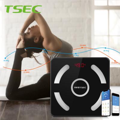 China High Quality Weight Function Food Weighing Electronic Body Fittrack Dara Smart Bmi Digital Scale for sale