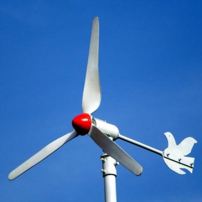 China Small vibration and tiny friction wind generator 300w 600w miniature windmill for sale